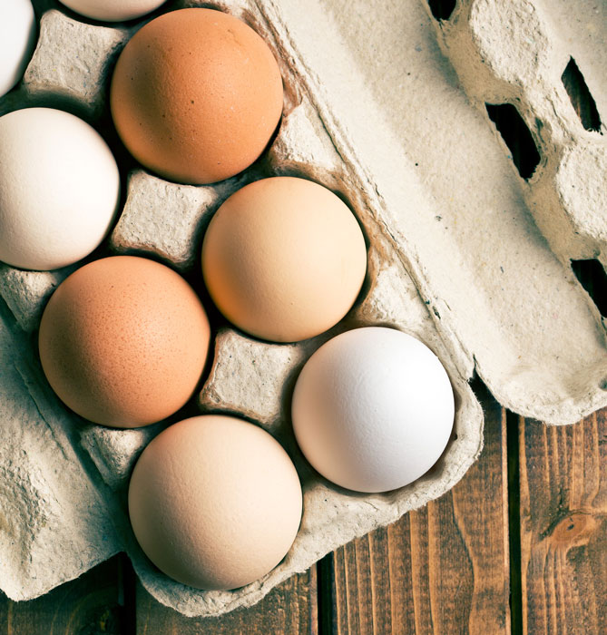 Allgemeine Fragen zur Eiern: weiße und braune Eier in einem Eierkarton